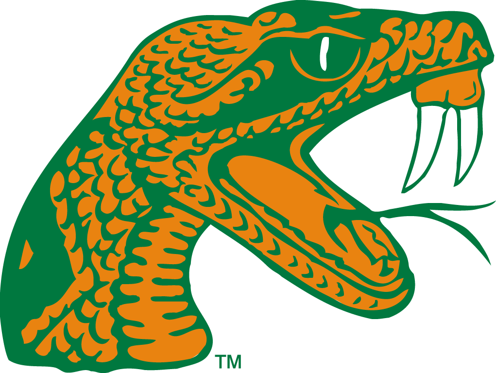 Florida A&M Rattlers 2006-pres alternate logo diy iron on heat transfer